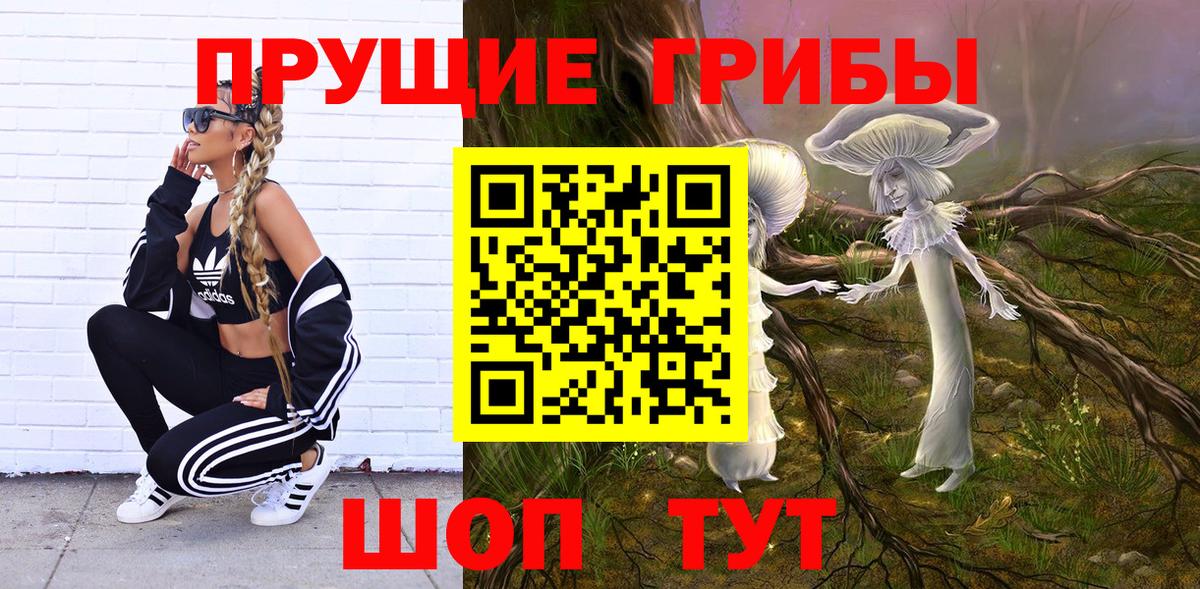 Псилоцибиновые грибы прущие грибы Туймазы